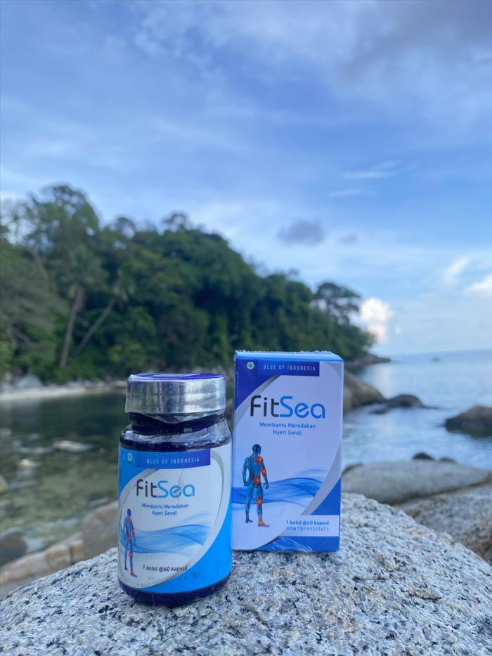 FITSEA